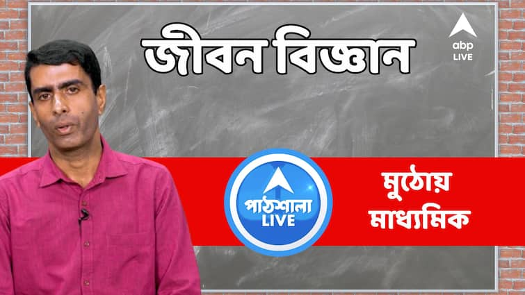 Madhyamik exam 2024 Life Science suggestion tips preparation tips madhyamik Life Science suggestion 2024 abp live exclusive abpp Madhyamik Exam 2024: জীবন বিজ্ঞান নিয়ে বুক ধুকপুক ? মাধ্যমিকে এভাবে এগোলে শেষ হাসি হাসবে তুমিই