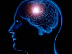 Health Tips: स्ट्रोक अब बुजुर्गों को नहीं बल्कि नौजवानों को बना रहा है अपना शिकार, जानिए क्यों