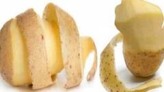 Benefits of Vegetable Peels: ભૂલથી પણ આ શાકની છાલ ન ઉતારો, છાલમાં છે પોષકતત્વનો ખજાનો, જાણો સેવનના ફાયદા