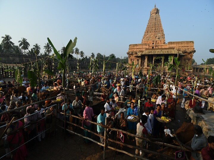 Pongal 2024: தஞ்சை பெரிய கோயில் மகா நந்திகேஸ்வரருக்கு காய்கறி, இனிப்பு, பழங்களால் சிறப்பு அலங்காரம்