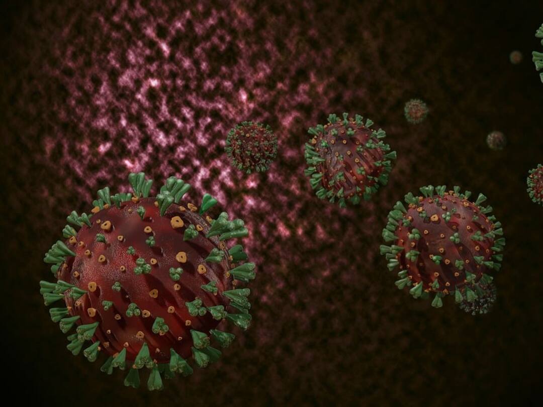 China Experimenting With Deadly Virus says study full details here మనుషుల ప్రాణాలతో చైనా చెలగాటం! మెదడుని మెలిపెట్టే వైరస్‌తో పిచ్చి ప్రయోగాలు