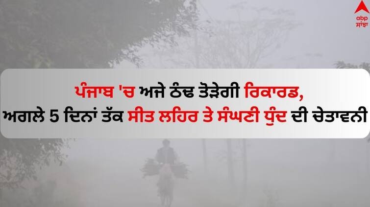 Punjab Weather Update Today 17 January meteorological-department-issued-weather-warning-in-punjab Check latest update Punjab Weather Update: ਪੰਜਾਬ 'ਚ ਅਜੇ ਠੰਢ ਤੋੜੇਗੀ ਰਿਕਾਰਡ, ਅਗਲੇ 5 ਦਿਨਾਂ ਤੱਕ ਸੀਤ ਲਹਿਰ ਤੇ ਸੰਘਣੀ ਧੁੰਦ ਦੀ ਚੇਤਾਵਨੀ 