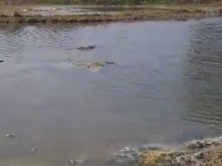 Magh Mela 2024: माघ मेले को लेकर कानपुर देहात प्रदूषण नियंत्रण बोर्ड सख्त, फैक्ट्रियों के लिए प्रतिबंधात्मक आदेश जारी Magh Mela 2024 Kanpur Dehat Pollution Control Board to order on factories ann Magh Mela 2024: माघ मेले को लेकर कानपुर देहात प्रदूषण नियंत्रण बोर्ड सख्त, फैक्ट्रियों के लिए प्रतिबंधात्मक आदेश जारी