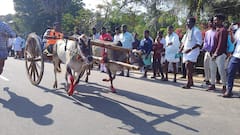 Hundreds Participate In Rekla Race Held In Tamil Nadu's Thirukadayur — IN PICS