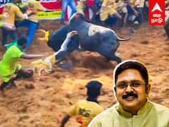 Alanganallur Jallikattu 2024:வாகை சூடிய டிடிவியின் காளை தலைதெறிக்க ஓடிய வீரர்கள்| TTV Dhinakaran