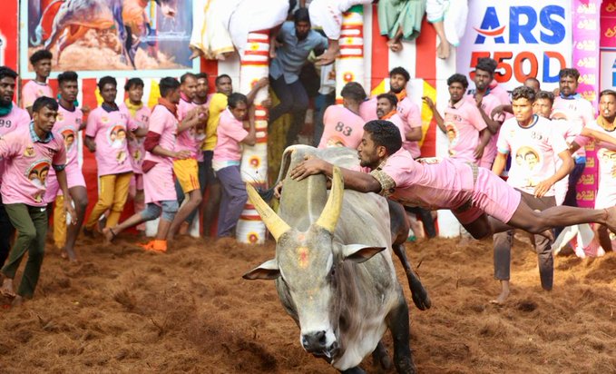 Jallikattu 2024: அலங்காநல்லூர் ஜல்லிக்கட்டு! 18 காளைகளை அடக்கி முதலிடத்தை தட்டித் தூக்கிய கருப்பாயூரணி கார்த்தி!