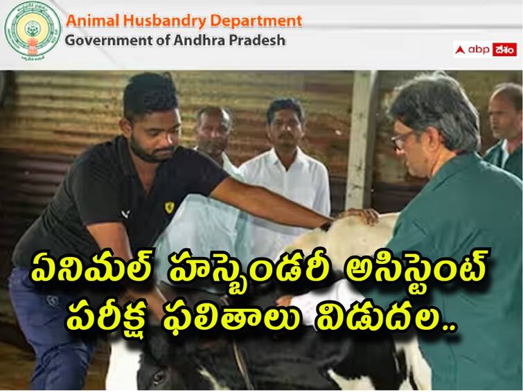 ap animal husbandry assistant exam results released check direct link here AP AHA Results: ఏపీ ఏనిమల్ హస్బెండరీ అసిస్టెంట్ ఫలితాలు వెల్లడి, డైరెక్ట్ లింక్ ఇదే