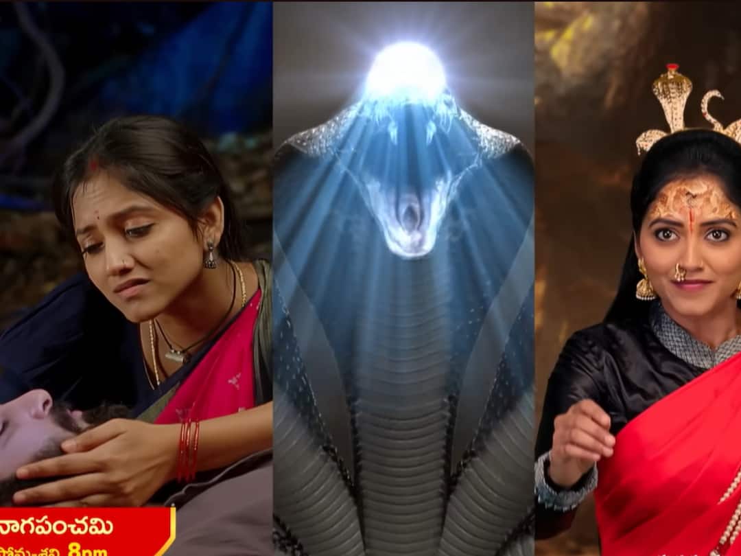 naga panchami serial today january 18th episode written update in telugu Naga Panchami Serial Today January 18th: నాగమణిని తాకలేక చంద్రకాంత మొక్కతో పారిపోయిన కరాళి.. ప్రాణాలతో పోరాడుతున్న మోక్ష!