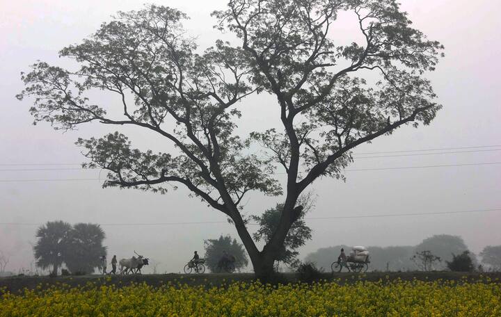 শুক্রবারে উত্তর ও দক্ষিণ ২৪ পরগনাতে বিক্ষিপ্তভাবে হালকা মাঝারি বৃষ্টির সম্ভাবনা। সকালের দিকে হালকা বৃষ্টি হতে পারে দক্ষিণবঙ্গের বেশ কিছু জেলাতে। ছবি সৌজন্যে- পিটিআই