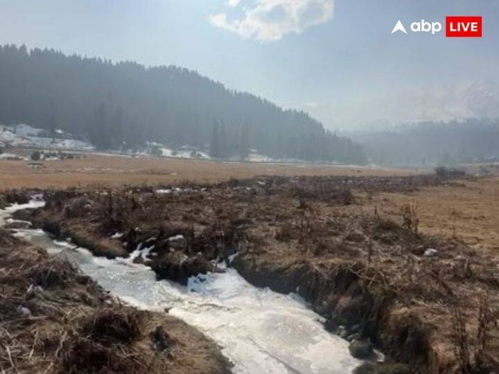 गुलमर्ग डेवलपमेंट अथॉरिटी ने तो कई महीने पहले से विंटर स्पोर्ट्स और विंटर कार्निवल की तैयारियां भी कर लीं हैं जिनमें चौथे खेलो इंडिया गेम्स और अन्य स्काइ कोर्स प्रमुख हैं, लेकिन अब ये भी मायूस नजर आ रहे हैं.