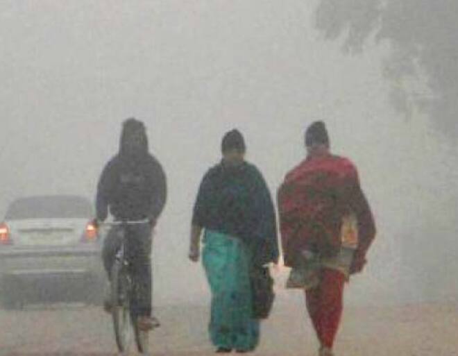 सध्या राज्यात थंडीचा जोर वाढत असल्याचं चित्र दिसत आहे. मान्सून बाहेर जाऊन थंडी आत आली आहे.