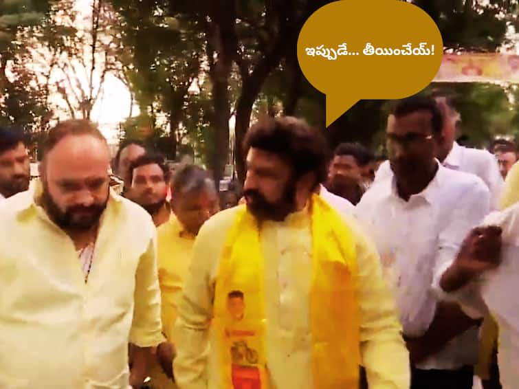 Hindupuram MLA Balakrishna removed Jr NTR flexies placed at NTR Ghat NTR Vs Balakrishna: జూనియర్ ఫ్లెక్సీలు తొలగించాలని బాలకృష్ణ ఆదేశం- ఎన్టీఆర్ సమాధి సాక్షిగా రచ్చ