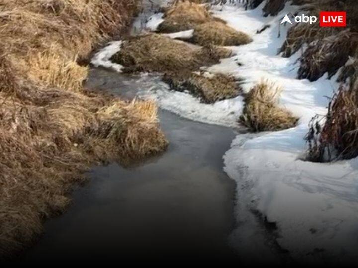 कुदरत के आगे इस बार गुलमर्ग बेबस है. जनवरी महीने का पहला हफ़्ता भी समाप्त हो चुका हा लेकिन गुलमर्ग में बर्फ से ढके पहाड़ नजर नहीं आ रहे.