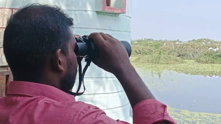 Many took the opportunity to explore the Vedanthangal Bird Sanctuary in Chennai (Credit: ABP Nadu)