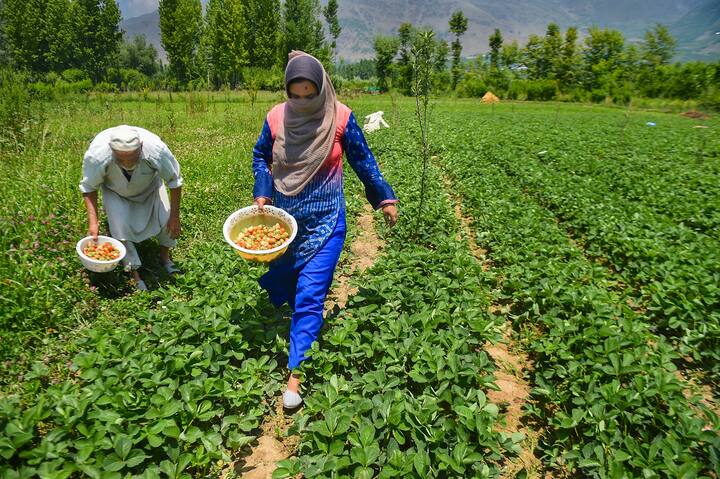 इस योजना में किसानों को हर महीने 55 रुपये से 200 रुपये तक जमा करने होते हैं, जिसके बाद उन्हें पेंशन मिलती है.