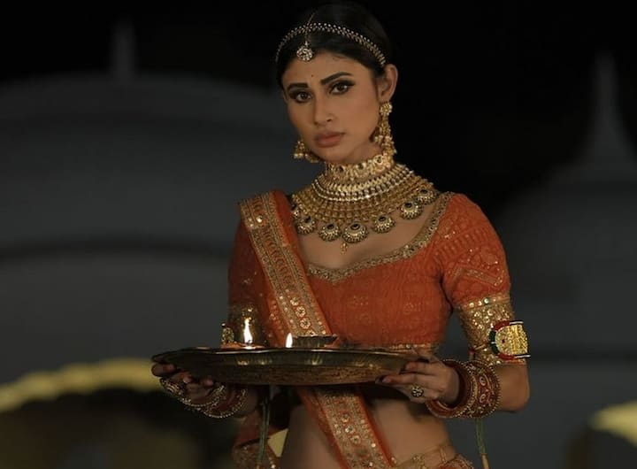 நாகினி தொடரில் நடித்ததன் மூலம் சின்னத்திரை ரசிகர்கள் மத்தியில் மாபெரும் வரவேற்பை பெற்றார் மௌனி ராய்.