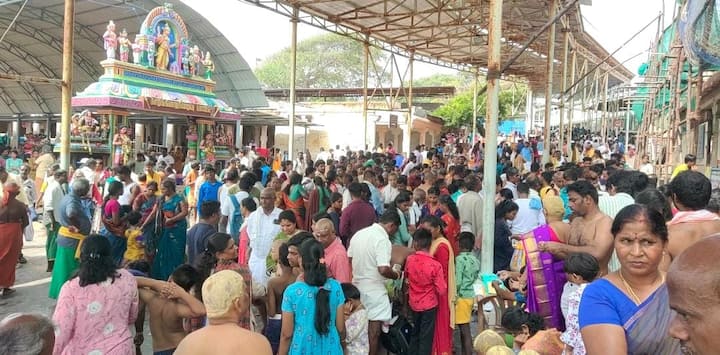 On this day, a multitude of visitors flocked to the Subramania Swamy Temple in Tiruchendur (Credit: ABP Nadu)