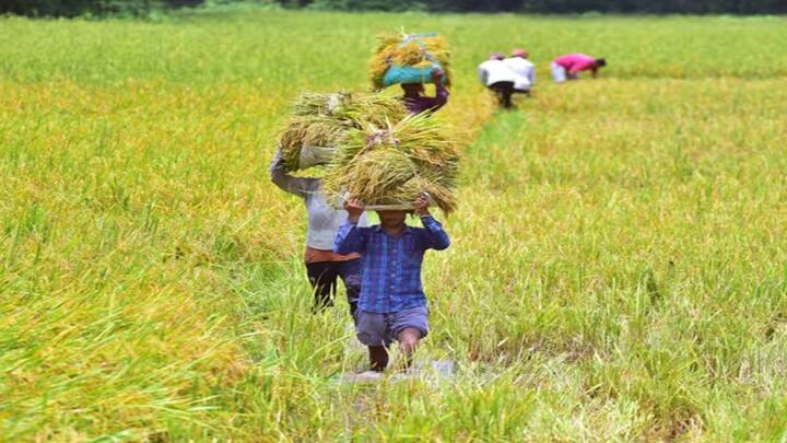 Pradhan Mantri Fasal Bima Yojana:  કેન્દ્ર અને રાજ્ય સરકારો ખેડૂતો માટે અનેક પ્રકારની યોજનાઓ ચલાવે છે. જેના દ્વારા ખેડૂતોને મદદ પહોંચાડવાનું કામ કરવામાં આવે છે.