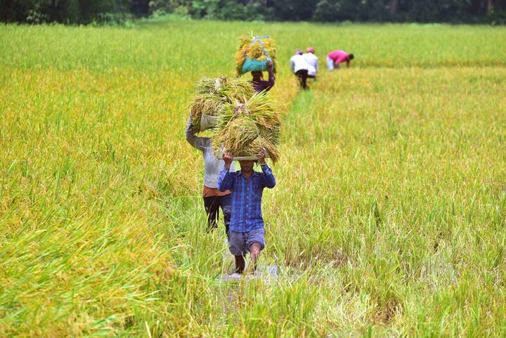 पीएम किसान मानधन योजना छोटे और सीमांत किसानों के लिए है, इसमें 18 से 40 साल तक के किसान रजिस्ट्रेशन कर सकते हैं.