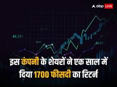 Multibagger Share: इस कंपनी के शेयरों ने एक साल में दिया 1700 फीसदी से ज्यादा का रिटर्न, निवेशक बन गए करोड़पति!