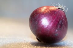 Raw Onion Health Benefits : कच्च्या कांद्याचे हे फायदे तुम्हाला माहितीये का? जाणून घ्या कोणते आहेत हे फायदे