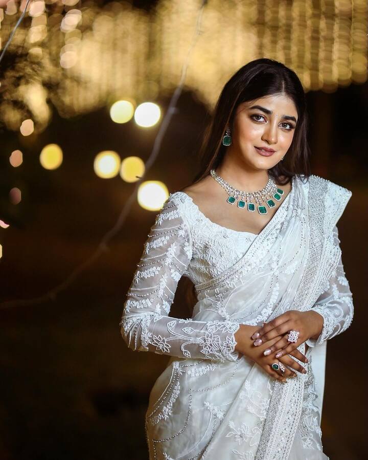 గద్దలకొండ గణేష్ సినిమాలో వరుణ్ తేజ్ సరసన సూపర్ హిట్ నీ హైట్ అంటూ ఆడిపాడింది. ఈ పాటతో ఆమె తెలుగు ప్రేక్షకులకు మరింత దగ్గరైంది.బాలీవుడ్ సినిమా అత్రరంగీరేలో ధనుష్ సరసన నటించింది. (Images Source : Instagram/dimplehayathi)
