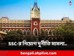 ' আন্দোলনকারীদের দিকেই ধার বেশি..' মন্তব্য হাইকোর্টের বিচারপতির