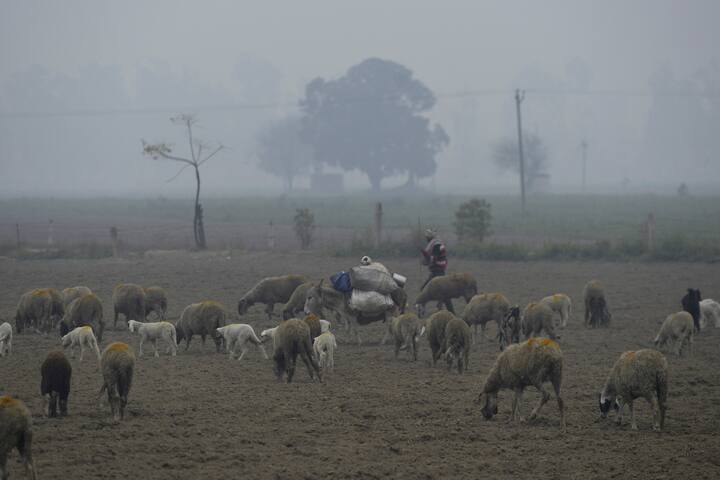 पड़ोसी राज्य हरियाणा में, भिवानी सबसे ठंडा स्थान रहा, जहां तापमान 3.7 डिग्री सेल्सियस दर्ज किया गया. फाइल फोटो