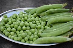 Health Benefits Of Green Peas : तुम्हीही हिवाळ्यात भरपूर वाटाणे खाताय? मग या गोष्टींची विशेष काळजी घ्या