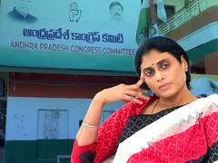 YS Sharmila: ఆంధ్రప్రదేశ్ కాంగ్రెస్ అధ్యక్షురాలిగా షర్మిల ముందున్న సవాళ్లేంటి..?