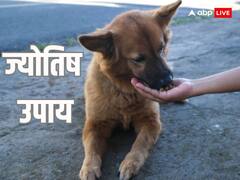 Astrology: जानवरों को दुत्कारें नहीं प्यार करें, इनकी सेवा से बुरे फल देने वाला ग्रह भी हो जाता है शुभ