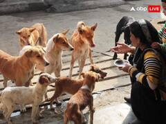 Astrology: जानवरों को दुत्कारें नहीं प्यार करें, इनकी सेवा से बुरे फल देने वाला ग्रह भी हो जाता है शुभ