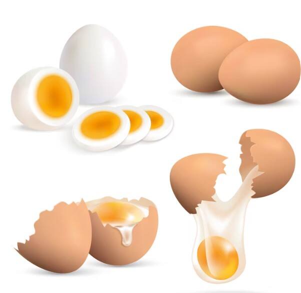 ਅੰਡੇ ਵਿੱਚ ਕਈ ਤਰ੍ਹਾਂ ਦੇ ਪੋਸ਼ਕ ਤੱਤ ਹੁੰਦੇ ਹਨ ਜੋ ਸਾਡੀ ਸਿਹਤ ਲਈ ਬਹੁਤ ਫਾਇਦੇਮੰਦ ਹੁੰਦੇ ਹਨ। ਪ੍ਰੋਟੀਨ ਨਾਲ ਭਰਪੂਰ ਅੰਡੇ ਨੂੰ ਮਾਸਪੇਸ਼ੀਆਂ ਲਈ ਬਹੁਤ ਵਧੀਆ ਮੰਨਿਆ ਜਾਂਦਾ ਹੈ।