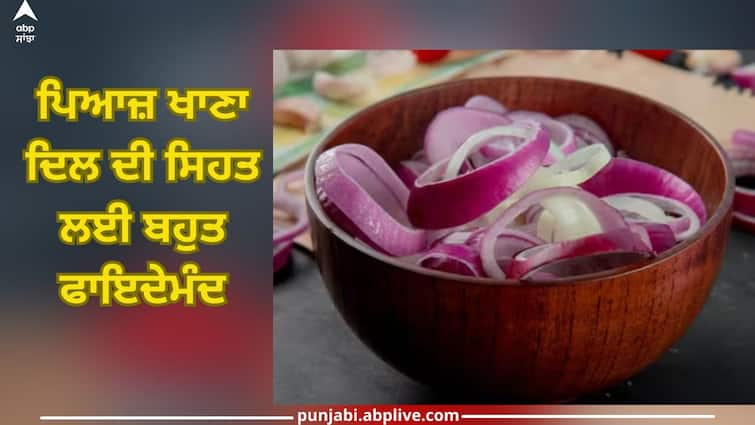 from improving eyesight to curing acne know many benefits of raw onion Benefits Of Raw Onion: ਅੱਖਾਂ ਦੀ ਰੋਸ਼ਨੀ ਨੂੰ ਵਧਾਉਣ ਤੋਂ ਲੈ ਕੇ ਮੁਹਾਂਸੇ ਠੀਕ ਕਰਨ ਤੱਕ, ਜਾਣੋ ਕੱਚੇ ਪਿਆਜ਼ ਦੇ ਗੁਣਕਾਰੀ ਫਾਇਦੇ