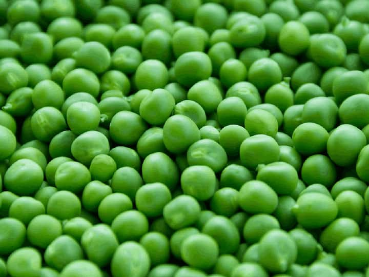 Health Benefits Of Green Peas : तुम्हीही हिवाळ्यात भरपूर वाटाणे खाताय? मग या गोष्टींची विशेष काळजी घ्या