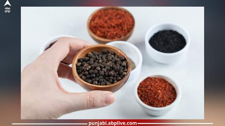 Black pepper: ਭਾਰਤੀ ਮਸਾਲਿਆਂ ਦੀ ਵਰਤੋਂ ਕਈ ਬਿਮਾਰੀਆਂ ਦੇ ਇਲਾਜ ਲਈ ਕੀਤੀ ਜਾਂਦੀ ਹੈ। ਜਿਨ੍ਹਾਂ ਵਿੱਚੋਂ ਇੱਕ ਹੈ ਕਾਲੀ ਮਿਰਚ, ਜਿਸ ਦੇ ਕਈ ਕਮਾਲ ਦੇ ਫਾਇਦੇ ਹਨ। ਇਹ ਸਰੀਰ ਦੇ ਲਈ ਕਿਸ ਵਰਦਾਨ ਤੋਂ ਘੱਟ ਨਹੀਂ ਹੈ।