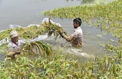 PM Kisan Mandhan Yojana: इस योजना में किसानों को मिलती है तीन हजार रुपये की पेंशन, आज ही करें आवेदन