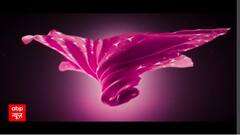 Watch The Full Episode Of Saas Bahu Aur Saazish | SBS (18.01.2023)