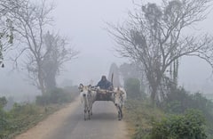 Weather Alert: জোড়া ঘূর্ণাবর্তের জের, শীতের কনকনে ঠান্ডার মধ্যেই বৃষ্টি! কতদিন চলবে এই দুর্যোগ?