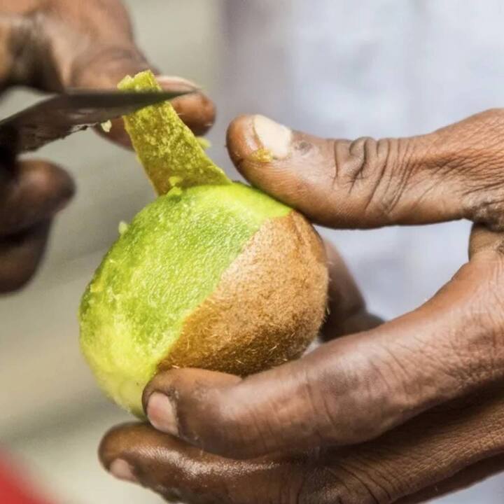 ਕੀਵੀ ਦੇ ਛਿਲਕੇ ਵਿੱਚ ਫਾਈਬਰ, ਫੋਲੇਟ ਅਤੇ ਵਿਟਾਮਿਨ ਈ ਆਦਿ ਪੋਸ਼ਕ ਤੱਤ ਦੀ ਚੰਗੀ ਮਾਤਰਾ ਹੁੰਦੀ ਹੈ। ਜਦਕਿ ਫੋਲੇਟ 32 ਫੀਸਦੀ ਅਤੇ ਵਿਟਾਮਿਨ ਈ 34 ਫੀਸਦੀ ਤੱਕ ਵਧ ਸਕਦਾ ਹੈ। ਕੀਵੀ ਦੇ ਛਿਲਕੇ ਵਿੱਚ ਕਈ ਤਰ੍ਹਾਂ ਦੇ ਐਂਟੀਆਕਸੀਡੈਂਟ ਪਾਏ ਜਾਂਦੇ ਹਨ।