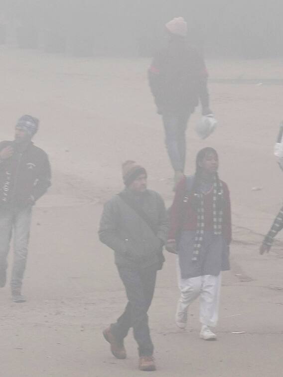 दिल्ली में शीतलहर और कोहरे का डबल अटैक, IMD ने जारी किया येलो अलर्ट