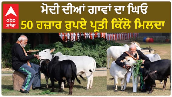 Modi's Punganur Cow Price | ਮੋਦੀ ਦੀਆਂ ਗਾਵਾਂ ਦਾ ਘਿਓ 50 ਹਜ਼ਾਰ ਰੁਪਏ ਪ੍ਰਤੀ ਕਿੱਲੋ ਮਿਲਦਾ !