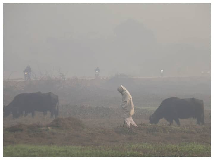 पंजाब-हरियाणा में कड़ाके की ठंड से राहत नहीं, न्यूनतम तापमान सामान्य से भी नीचे