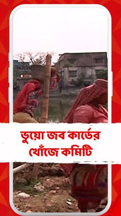 ১০০ দিনের কাজে ভুয়ো জব কার্ড খুঁজতে এবার কমিটি গঠন হাইকোর্টের