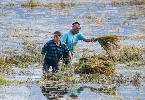 આ યોજના હેઠળ પાક નિષ્ફળ જવાના કિસ્સામાં ઉત્પાદનની સંપૂર્ણ કિંમત વીમા તરીકે આપવામાં આવે છે. આમાં, ખરીફ પાક માટે પ્રીમિયમ મહત્તમ 2 ટકા છે અને અન્ય તમામ પાકો માટે પ્રીમિયમ 5 ટકા સુધી છે. બાકીનું પ્રીમિયમ સરકાર ચૂકવે છે.