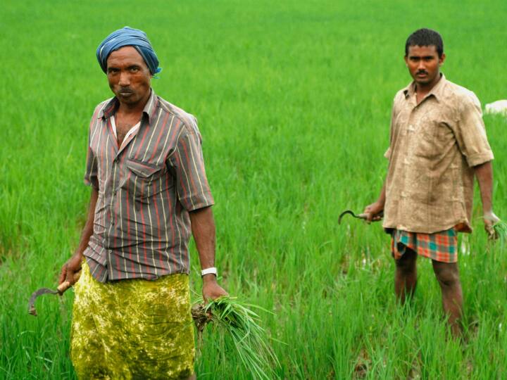 PM Kisan Mandhan Yojana: सालभर में खेती और अपनी फसलों पर मेहनत कर किसान अपना घर चलाते हैं, छोटे किसानों को कई बार अपनी फसल की लागत तक नहीं मिल पाती है.