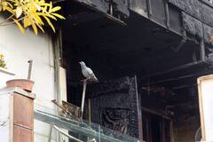 Pitampura Fire Accident: दिल्ली के पीतमपुरा में घर में लगी आग से 6 लोगों की मौत, पुलिस ने लिया ये एक्शन