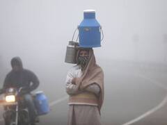 Weather Updates: अभी कोहरे के साथ और बढ़ेगी सर्दी! 4 दिनों तक सितम ढाने वाली है ठंड, मौसम विभाग ने कहा- बचकर रहें