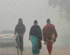 राज्यात थंडीचा जोर वाढला