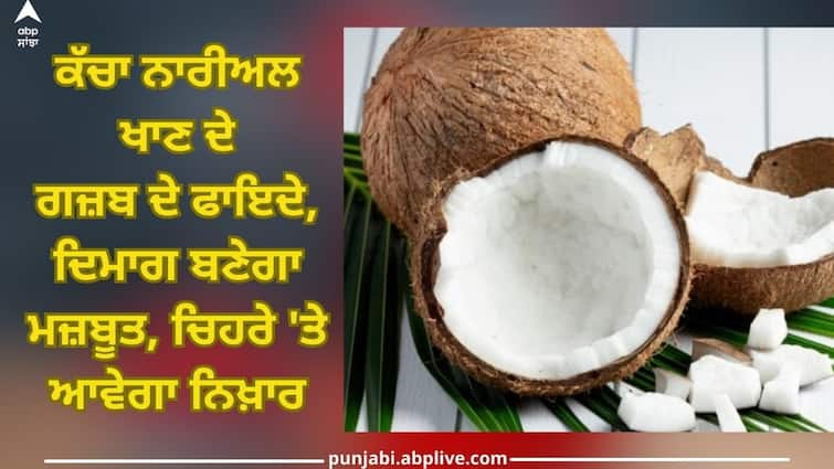 know amazing benefits of eating raw coconut in winter brain will become strong Health News Raw Coconut In Winter: ਜਾਣੋ ਸਰਦੀਆਂ 'ਚ ਕੱਚਾ ਨਾਰੀਅਲ ਖਾਣ ਦੇ ਹੈਰਾਨੀਜਨਕ ਫਾਇਦੇ, ਦਿਮਾਗ ਬਣੇਗਾ ਮਜ਼ਬੂਤ, ਚਿਹਰੇ 'ਤੇ ਆਵੇਗਾ ਨਿਖ਼ਾਰ